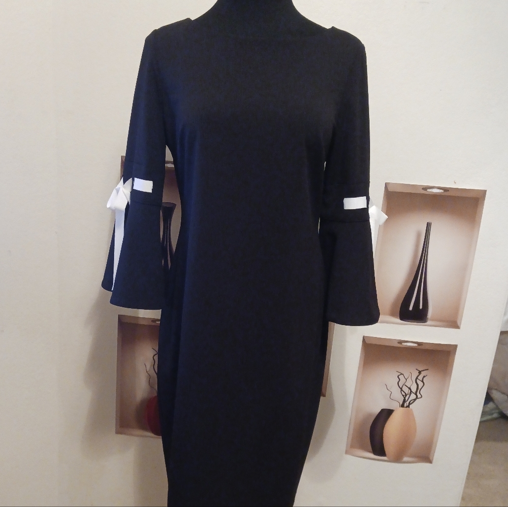 LIKE NEW Elegant Calvin Klein Black Dress with White Accents - Only $27!